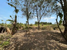  Land for sale in Bueng Bon, Nong Suea, Bueng Bon