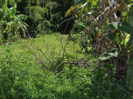  Land for sale in Ao Nang, Mueang Krabi, Ao Nang