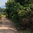  Grundstück zu verkaufen in Chiang Khan, Loei, Chiang Khan, Chiang Khan, Loei