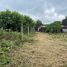  Land for sale in Mueang Lop Buri, Lop Buri, Phrommat, Mueang Lop Buri