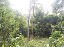  Land for sale in Surat Thani, Ko Pha-Ngan, Ko Pha-Ngan, Surat Thani