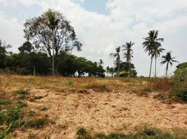  Land for sale in Mueang Amnat Charoen, Amnat Charoen, Bung, Mueang Amnat Charoen