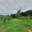  Land for sale in Mueang Loei, Loei, Mueang, Mueang Loei