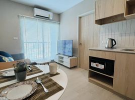 1 Bedroom Condo for rent at Nue Noble Srinakarin - Lasalle, Samrong Nuea, Mueang Samut Prakan