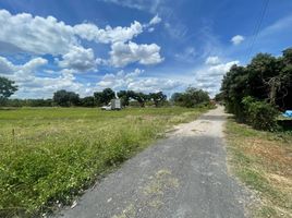  Land for sale in Khua Mung, Saraphi, Khua Mung