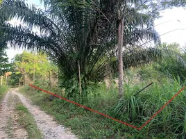  Grundstück zu verkaufen in Takua Pa, Phangnga, Khuek Khak, Takua Pa