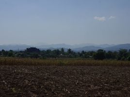  Land for sale in Chiang Rai, Wiang, Wiang Pa Pao, Chiang Rai