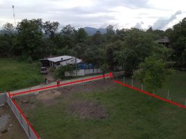  Land for sale in Chiang Mai, San Pong, Mae Rim, Chiang Mai