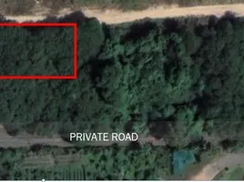  Land for sale at Land Plot Tala in Rawai, Rawai