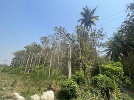  Land for sale in Nong Phlap, Hua Hin, Nong Phlap