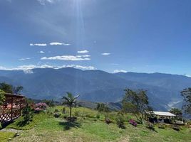  Land for sale in Colombia, Aratoca, Santander, Colombia
