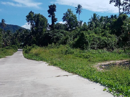  Grundstück zu verkaufen in Koh Samui, Surat Thani, Na Mueang