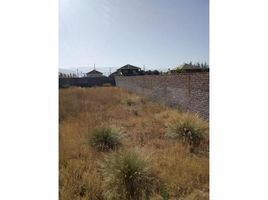  Land for sale in Paine, Maipo, Paine