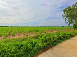  Grundstück zu verkaufen in Mueang Kamphaeng Phet, Kamphaeng Phet, Thep Nakhon