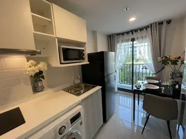 1 спален Кондо в аренду в Escent Park Ville Chiangmai, Fa Ham, Mueang Chiang Mai