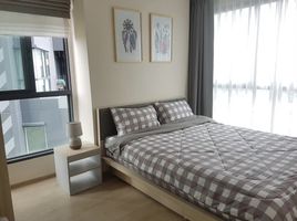 2 Schlafzimmer Wohnung zu verkaufen im Ideo O2, Bang Na, Bang Na, Bangkok