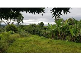  Grundstück zu verkaufen in Golfito, Puntarenas, Golfito, Puntarenas