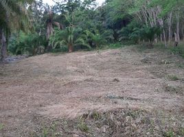 Land for sale in Nopparat Thara Beach, Ao Nang, Ao Nang