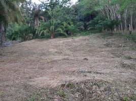  Land for sale in Ao Nang, Mueang Krabi, Ao Nang