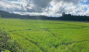 N/A Land for sale in Nam Pua, Nan 