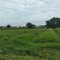  Land for sale in Sam Phran, Nakhon Pathom, Yai Cha, Sam Phran