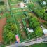  Land for sale in Nakhon Ratchasima, Phaya Yen, Pak Chong, Nakhon Ratchasima