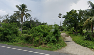 N/A Grundstück zu verkaufen in Si Sunthon, Phuket 