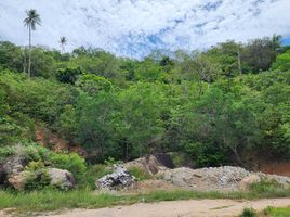  Grundstück zu verkaufen in Koh Samui, Surat Thani, Bo Phut