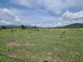  Grundstück zu verkaufen in Dan Chang, Suphan Buri, Huai Khamin, Dan Chang, Suphan Buri