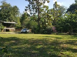  Land for sale in Chiang Mai, Pa Pae, Mae Taeng, Chiang Mai