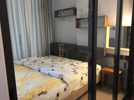 1 Schlafzimmer Wohnung zu vermieten im CIELA Sripatum, Lat Yao, Chatuchak
