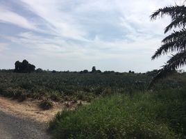  Land for sale in Thailand, Bo Nok, Mueang Prachuap Khiri Khan, Prachuap Khiri Khan, Thailand