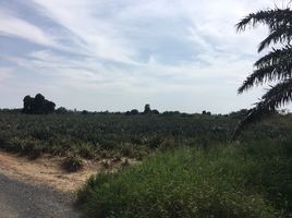  Grundstück zu verkaufen in Mueang Prachuap Khiri Khan, Prachuap Khiri Khan, Bo Nok