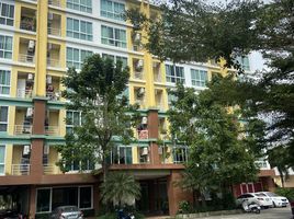 Studio Appartement zu verkaufen im Condotel Buri 1, Chalong, Phuket Town, Phuket