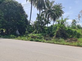  Land for sale in Nong Kop, Ban Pong, Nong Kop