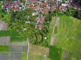  Grundstück zu verkaufen in Badung, Bali, Abiansemal, Badung