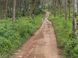  Grundstück zu verkaufen in Bang Saphan, Prachuap Khiri Khan, Thong Mongkhon, Bang Saphan