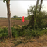  Land for sale in Si Samrong, Sukhothai, Thap Phueng, Si Samrong