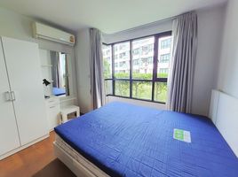 1 Bedroom Condo for rent at Centrio, Wichit