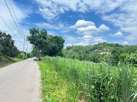  Land for sale in Thung Pi, Mae Wang, Thung Pi