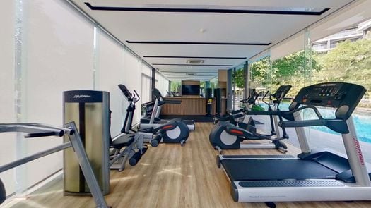 3D Walkthrough of the Communal Gym at Park Court Sukhumvit 77