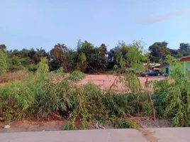  Grundstück zu verkaufen in Phana, Amnat Charoen, Phra Lao, Phana