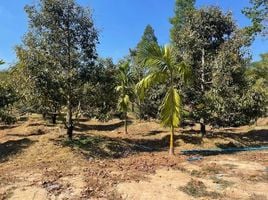  Land for sale in Rayong, Nong Bua, Ban Khai, Rayong