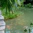  Grundstück zu verkaufen in Nong Thale, Krabi, Nong Thale