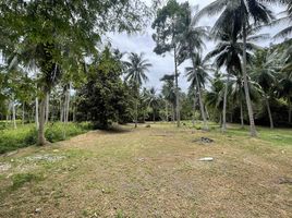  Grundstück zu verkaufen in Koh Samui, Surat Thani, Taling Ngam, Koh Samui