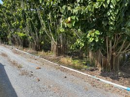  Grundstück zu verkaufen in Lat Lum Kaeo, Pathum Thani, Bo Ngoen, Lat Lum Kaeo