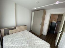 1 Schlafzimmer Appartement zu verkaufen im Artemis Sukhumvit 77, Suan Luang, Suan Luang