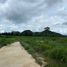  Land for sale in Hua Hin, Nong Phlap, Hua Hin