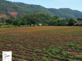  Land for sale in Mueang Chon Buri, Chon Buri, Mueang, Mueang Chon Buri