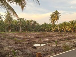  Grundstück zu verkaufen in Amphawa, Samut Songkhram, Tha Kha, Amphawa, Samut Songkhram